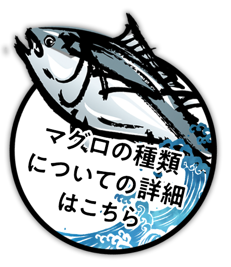 マグロの特徴について